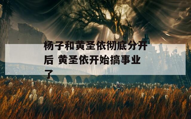 楊子和黃圣依徹底分開(kāi)后 黃圣依開(kāi)始搞事業(yè)了