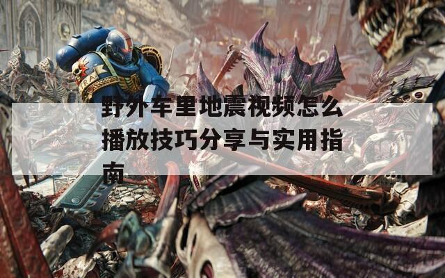 野外車?yán)锏卣鹨曨l怎么播放技巧分享與實(shí)用指南