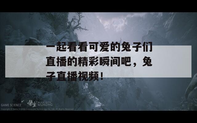 一起看看可愛的兔子們直播的精彩瞬間吧，兔子直播視頻！