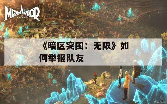 《暗區(qū)突圍：無限》如何舉報隊友