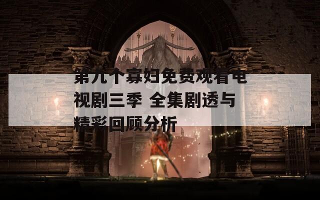 第九個寡婦免費觀看電視劇三季 全集劇透與精彩回顧分析