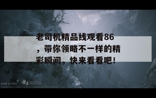 老司機精品線觀看86，帶你領略不一樣的精彩瞬間，快來看看吧！