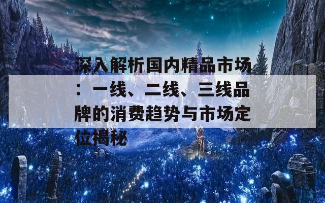 深入解析國(guó)內(nèi)精品市場(chǎng)：一線、二線、三線品牌的消費(fèi)趨勢(shì)與市場(chǎng)定位揭秘