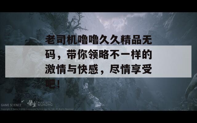 老司機(jī)嚕嚕久久精品無碼，帶你領(lǐng)略不一樣的激情與快感，盡情享受吧！