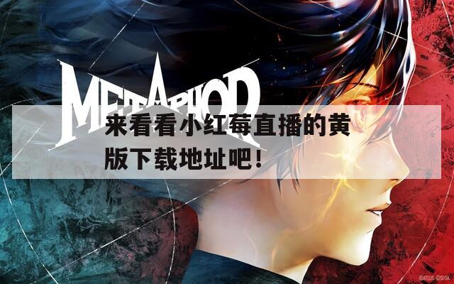 來看看小紅莓直播的黃版下載地址吧！