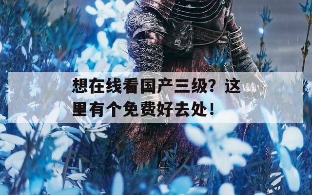 想在線看國產(chǎn)三級？這里有個免費好去處！
