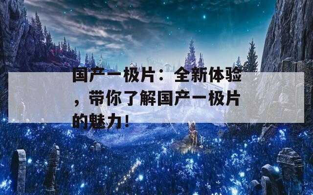國產(chǎn)一極片：全新體驗，帶你了解國產(chǎn)一極片的魅力！