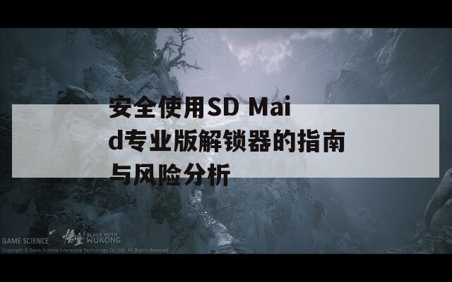 安全使用SD Maid專業(yè)版解鎖器的指南與風(fēng)險(xiǎn)分析