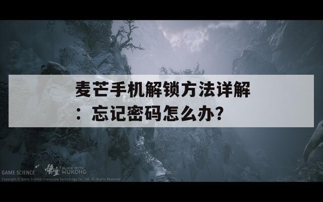麥芒手機(jī)解鎖方法詳解：忘記密碼怎么辦？
