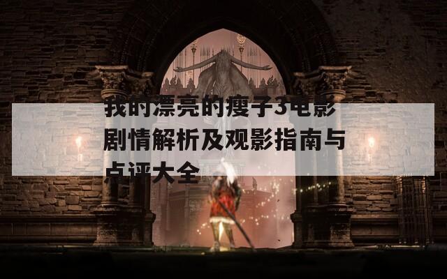 我的漂亮的瘦子3電影劇情解析及觀影指南與點評大全