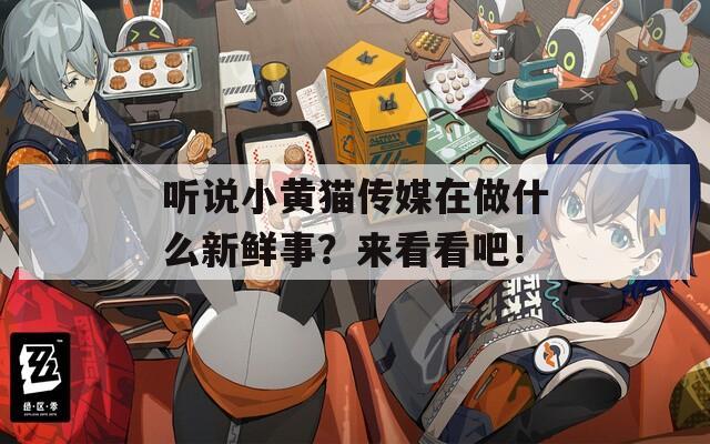 聽說小黃貓傳媒在做什么新鮮事？來看看吧！
