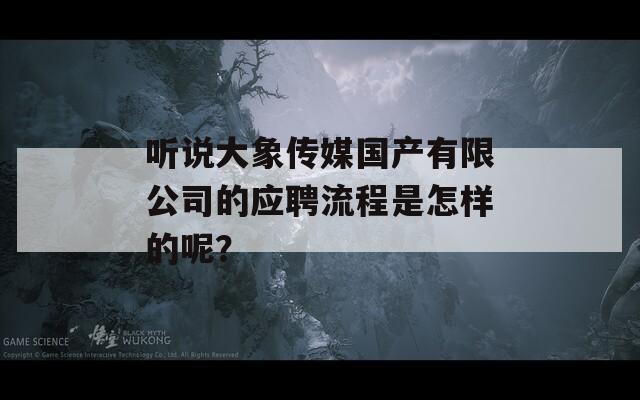 聽說大象傳媒國產(chǎn)有限公司的應(yīng)聘流程是怎樣的呢？