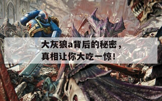 大灰狼a背后的秘密，真相讓你大吃一驚！