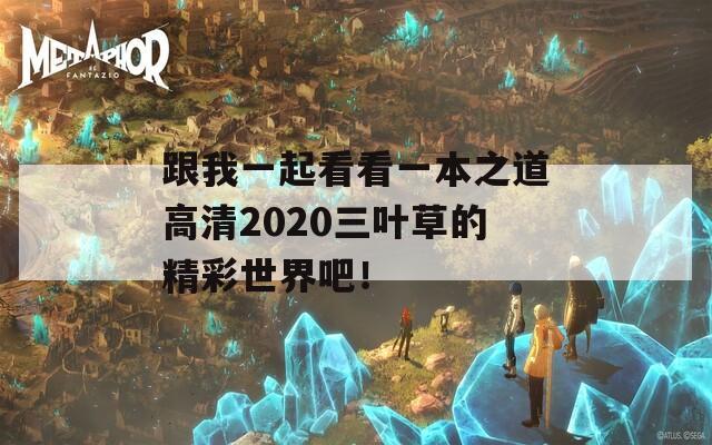 跟我一起看看一本之道高清2020三葉草的精彩世界吧！