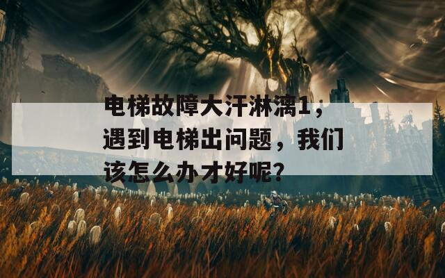 電梯故障大汗淋漓1，遇到電梯出問題，我們該怎么辦才好呢？