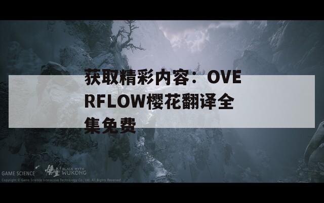 獲取精彩內(nèi)容：OVERFLOW櫻花翻譯全集免費(fèi)