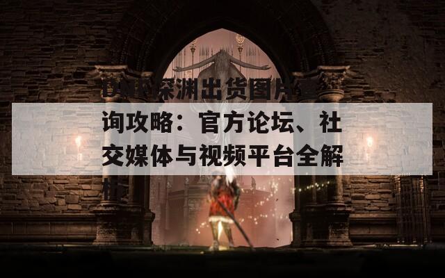 DNF深淵出貨圖片查詢攻略：官方論壇、社交媒體與視頻平臺全解析