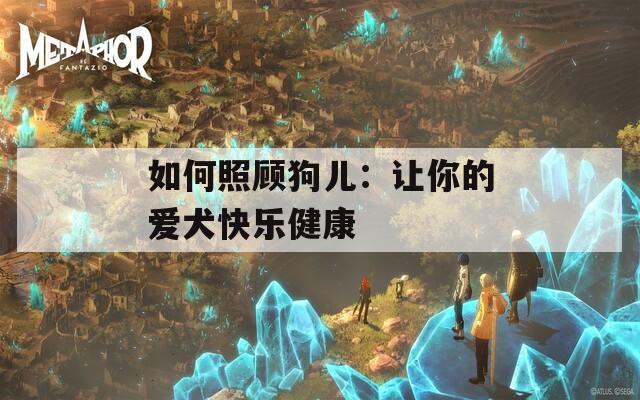 如何照顧狗兒：讓你的愛(ài)犬快樂(lè)健康