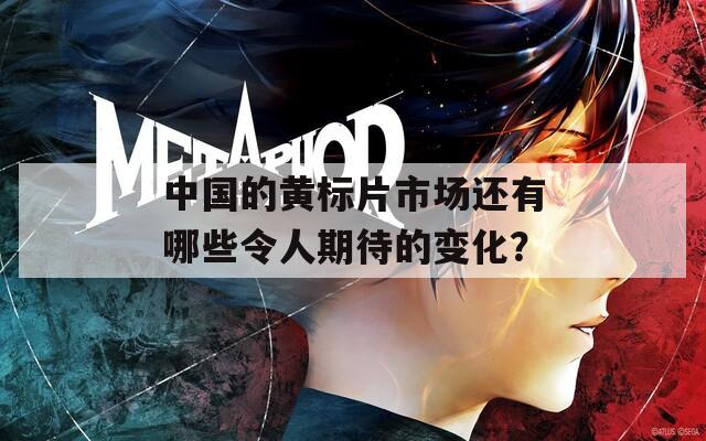 中國的黃標(biāo)片市場還有哪些令人期待的變化？