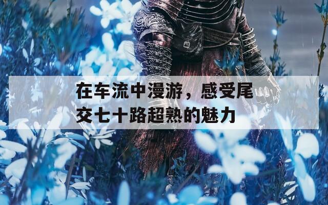 在車流中漫游，感受尾交七十路超熟的魅力