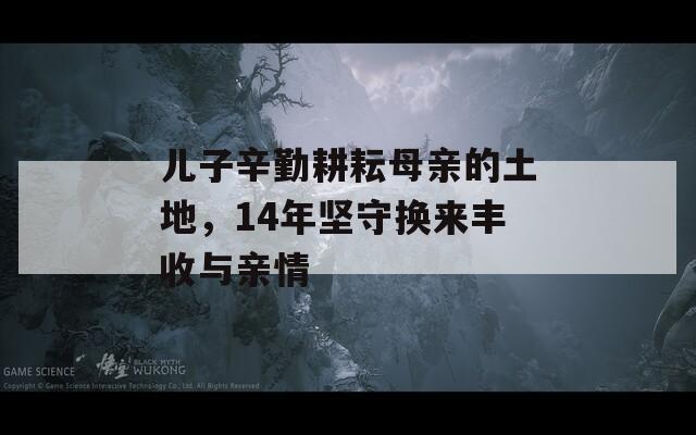 兒子辛勤耕耘母親的土地，14年堅(jiān)守?fù)Q來豐收與親情