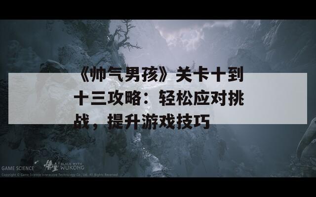 《帥氣男孩》關(guān)卡十到十三攻略：輕松應(yīng)對挑戰(zhàn)，提升游戲技巧