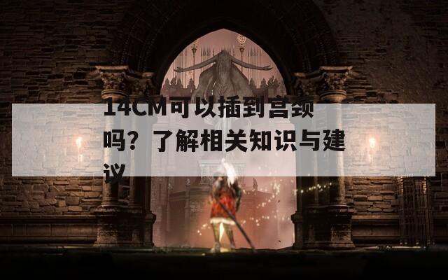 14CM可以插到宮頸嗎？了解相關知識與建議