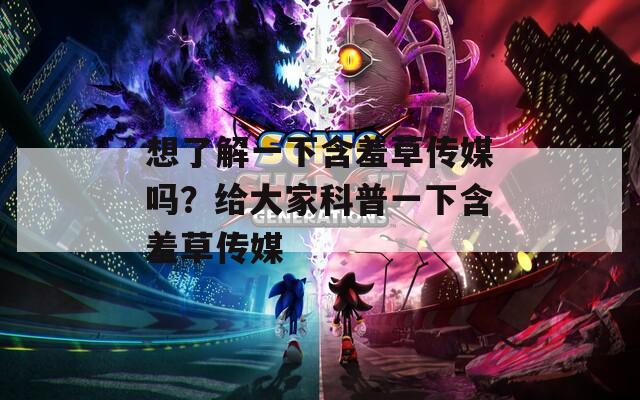 想了解一下含羞草傳媒嗎？給大家科普一下含羞草傳媒