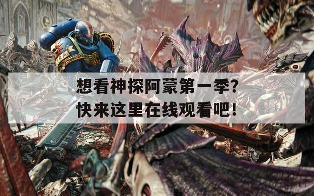想看神探阿蒙第一季？快來這里在線觀看吧！