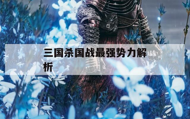 三國殺國戰(zhàn)最強勢力解析