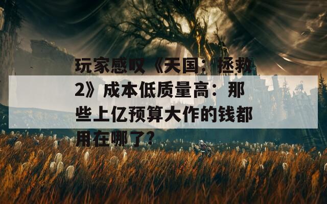 玩家感嘆《天國：拯救2》成本低質(zhì)量高：那些上億預(yù)算大作的錢都用在哪了?
