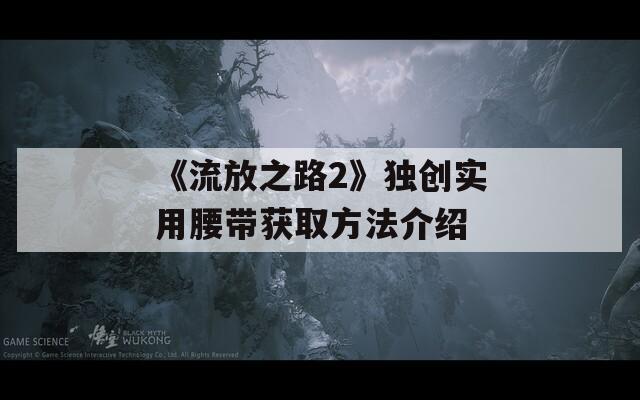 《流放之路2》獨(dú)創(chuàng)實(shí)用腰帶獲取方法介紹