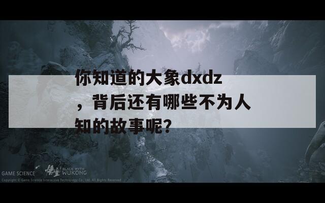 你知道的大象dxdz，背后還有哪些不為人知的故事呢？
