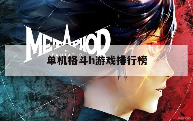 單機格斗h游戲排行榜