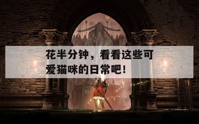花半分鐘，看看這些可愛貓咪的日常吧！