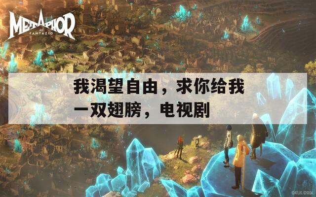 我渴望自由，求你給我一雙翅膀，電視劇