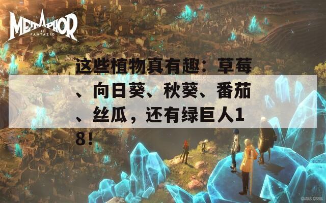 這些植物真有趣：草莓、向日葵、秋葵、番茄、絲瓜，還有綠巨人18！