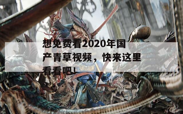 想免費(fèi)看2020年國產(chǎn)青草視頻，快來這里看看吧！