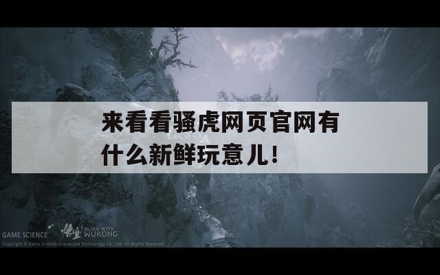 來看看騷虎網(wǎng)頁官網(wǎng)有什么新鮮玩意兒！