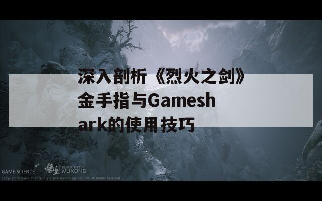 深入剖析《烈火之劍》金手指與Gameshark的使用技巧