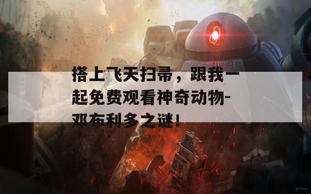 搭上飛天掃帚，跟我一起免費(fèi)觀看神奇動(dòng)物-鄧布利多之謎！