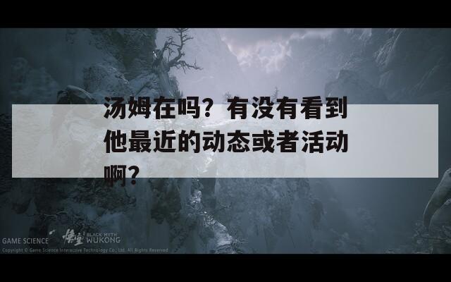 湯姆在嗎？有沒有看到他最近的動態(tài)或者活動??？