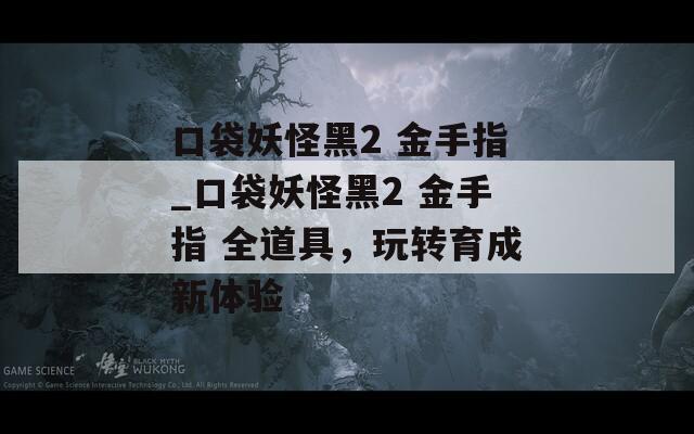 口袋妖怪黑2 金手指_口袋妖怪黑2 金手指 全道具，玩轉(zhuǎn)育成新體驗(yàn)