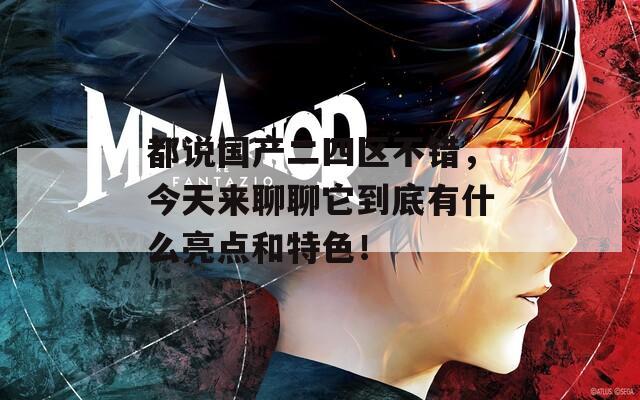 都說國產(chǎn)二四區(qū)不錯，今天來聊聊它到底有什么亮點和特色！