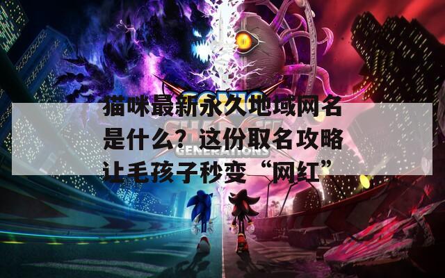 貓咪最新永久地域網(wǎng)名是什么？這份取名攻略讓毛孩子秒變“網(wǎng)紅”