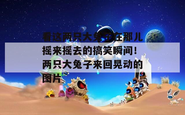 看這兩只大兔子在那兒搖來搖去的搞笑瞬間！兩只大兔子來回晃動的圖片