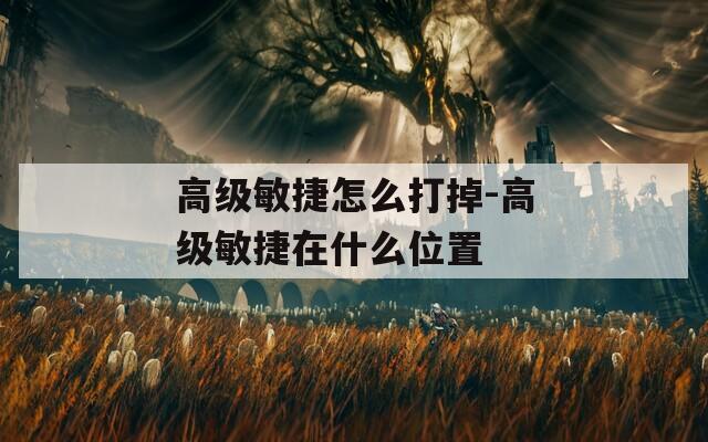 高級(jí)敏捷怎么打掉-高級(jí)敏捷在什么位置