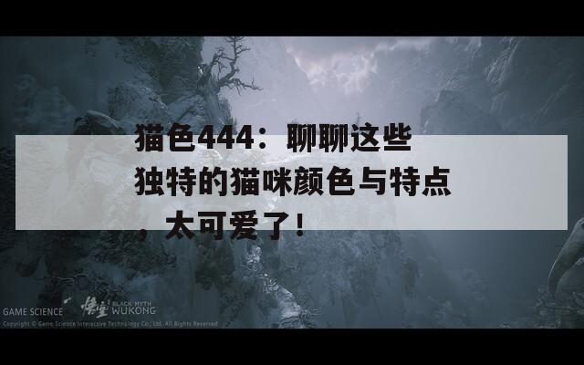 貓色444：聊聊這些獨特的貓咪顏色與特點，太可愛了！
