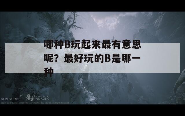 哪種B玩起來最有意思呢？最好玩的B是哪一種