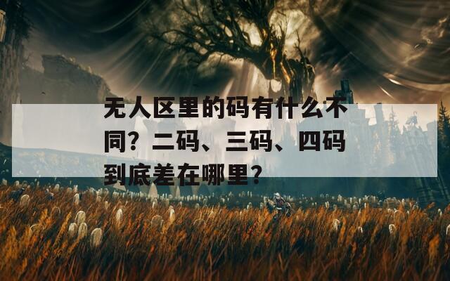 無人區(qū)里的碼有什么不同？二碼、三碼、四碼到底差在哪里？